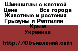 Шиншиллы с клеткой › Цена ­ 8 000 - Все города Животные и растения » Грызуны и Рептилии   . Крым,Украинка